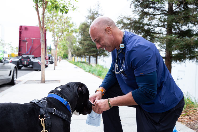 Street Vet Rx Pet Pharmacy