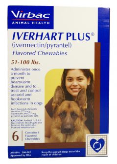 Iverhart Plus For Dogs 51-100 lbs 6 Month