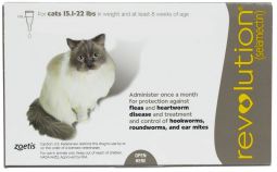 Revolution For Cats 15.1 to 22 lbs (6 Month)