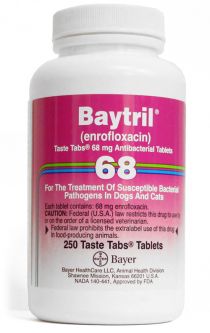 Baytril 68 mg PER PURPLE TAB