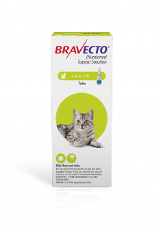 Bravecto Topical Solution for Cats 2.6 - 6.2 lbs (1 Dose)