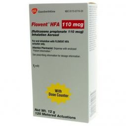 Flovent HFA 110 mcg