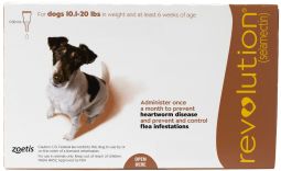 Revolution For Dogs 10.1 to 20 lbs (1 Month)