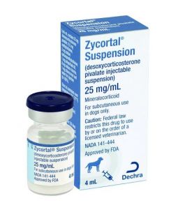 ZYCORTAL Suspension 4 ml